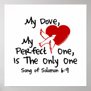 Affiche Song of Solomon 6:9