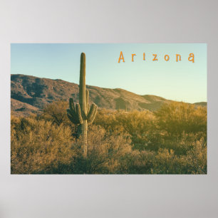 Affiche Sonoran Desert Arizona