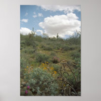 Sonoran Desert Spring Symphonie Art Imprimer Affic