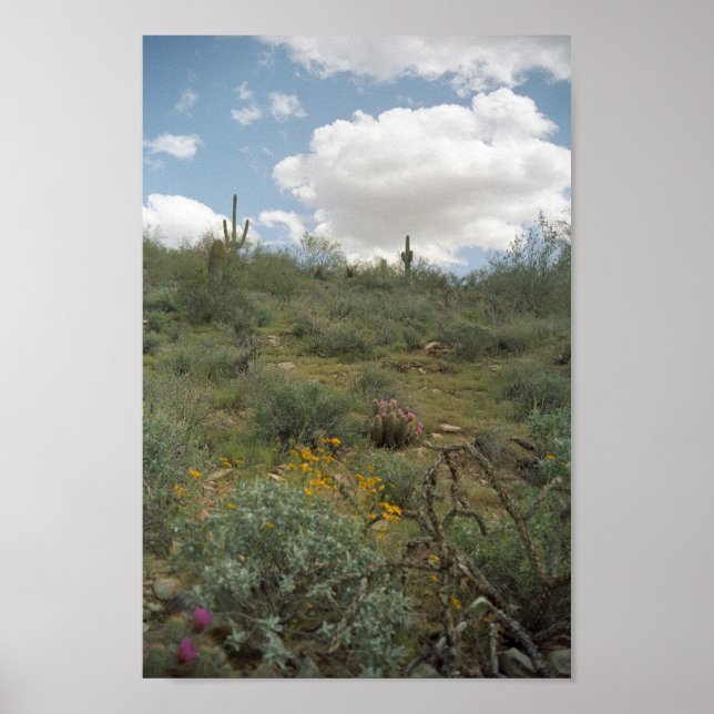Affiche Sonoran Desert Spring Symphonie Art Imprimer Affic (Devant)