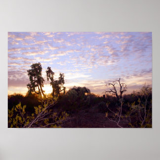 Affiche Sonoran Sunset