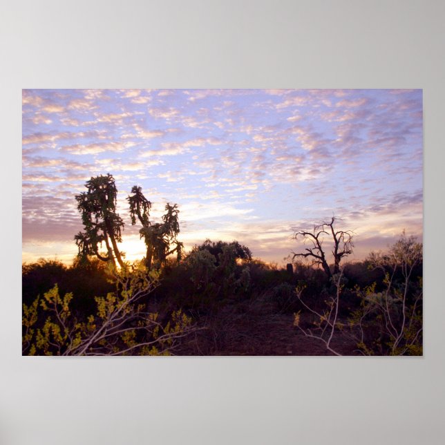 Affiche Sonoran Sunset (Devant)