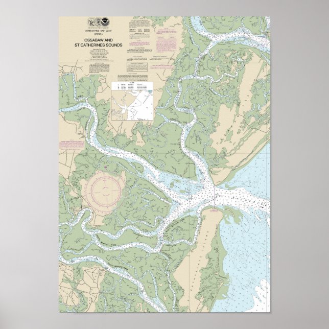 Affiche Sons Ossabaw et St Catherines Graphique 11511 (Devant)