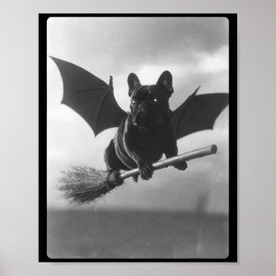 Affiche Sorcier British Bulldog Balai Ailes de Chauve-Sour