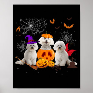 Affiche Sorcière de citrouille drôle Bichon Frise Chien Ha