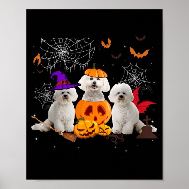 Affiche Sorcière de citrouille drôle Bichon Frise Chien Ha (Devant)
