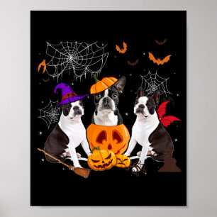 Affiche Sorcière de citrouille drôle Boston Terrier Chien 
