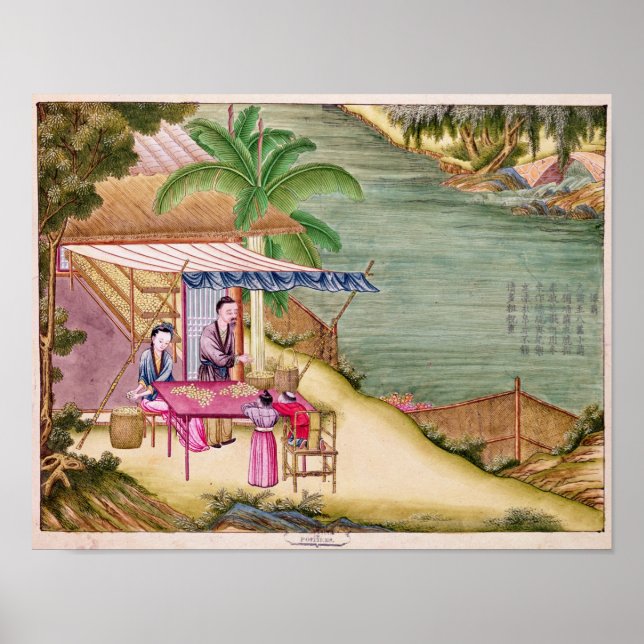 Affiche Sorting the Cocoons (Devant)