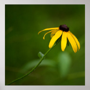 Affiche Sortir de l'impression