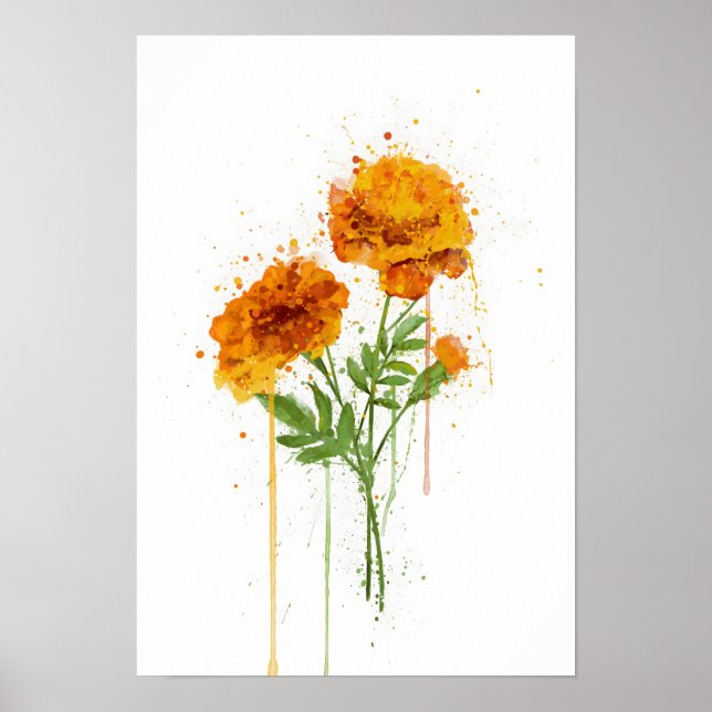 Affiche Soucis (Devant)
