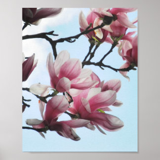 Affiche Soucoupe Magnolia Tulipe Arbre Rose Fleurs blanche