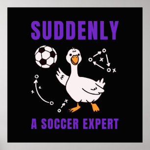 Affiche Soudain un expert de football