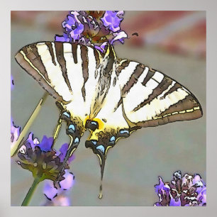 Affiche Soudure Jaune Commune Sur Fleurs Lilac Noir O