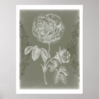 Soulagement floral I