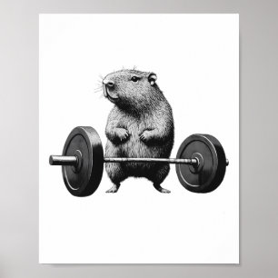 Affiche Soulever à mort Capybara Drôle Fitness Rongeur Ama