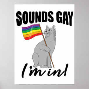 Affiche Sounds Gay I'm
