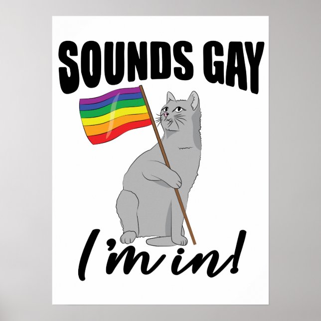 Affiche Sounds Gay I'm (Devant)