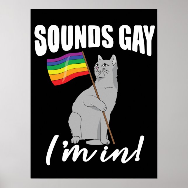 Affiche Sounds Gay I'm (Devant)