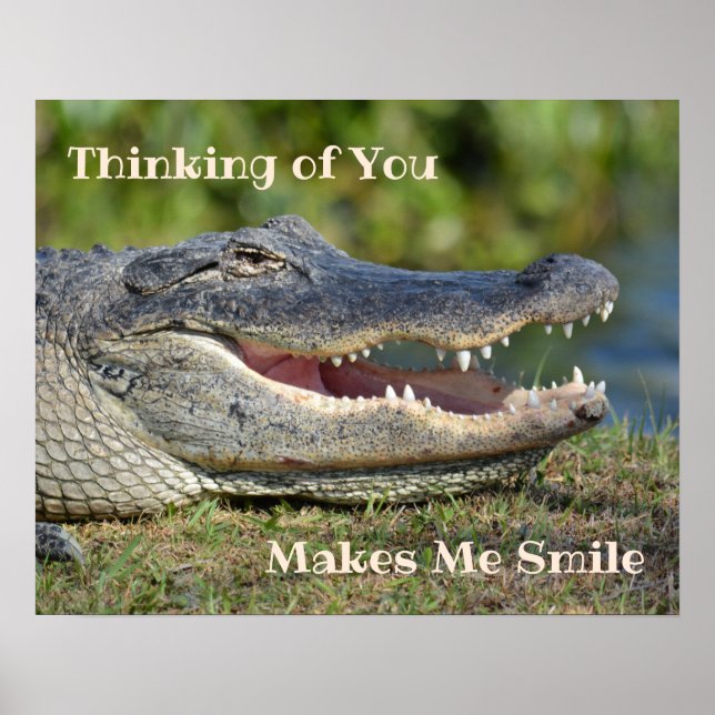 Affiche Sourire Alligator Penser de vous me fait sourire (Devant)