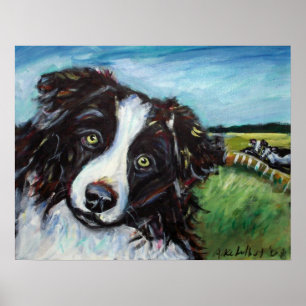 Affiche Sourire de border collie