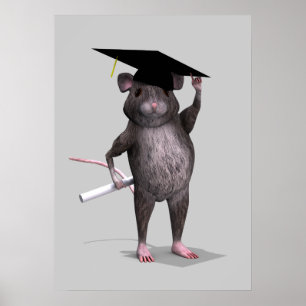 Affiche Souris des diplômés
