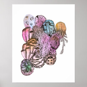 Affiche Sous la mer 01