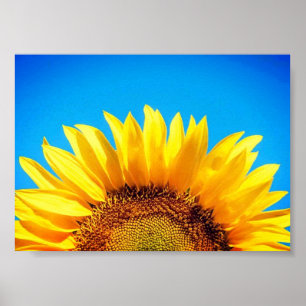 Affiche Soutenez Ukraine bleu ciel jaune tournesol
