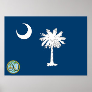 Affiche South Carolina flag