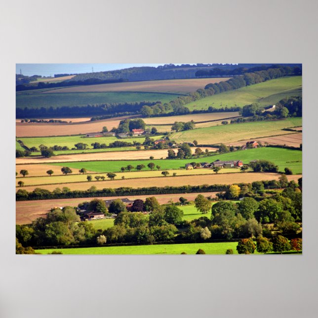 Affiche South Downs Beacon Hill Hampshire Angleterre (Devant)