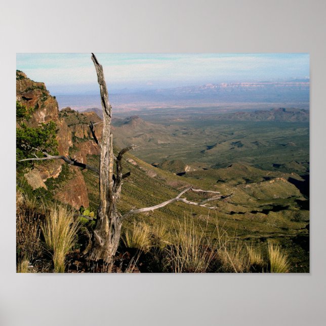 Affiche Southern Vista - Big Bend, Texas (Devant)