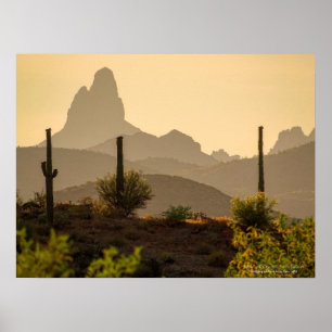 Affiche Southwest Desert Mountains Weaver's Needle Arizona