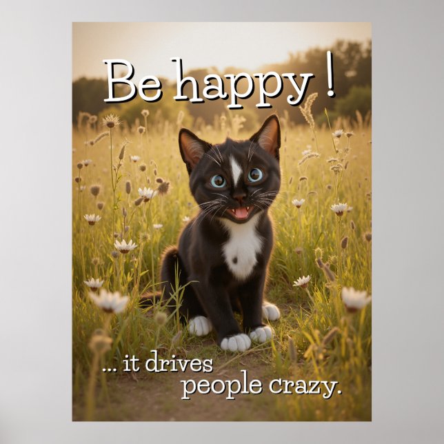 Affiche Soyez Heureux - Il Rend Les Gens Fous - Chat (Devant)