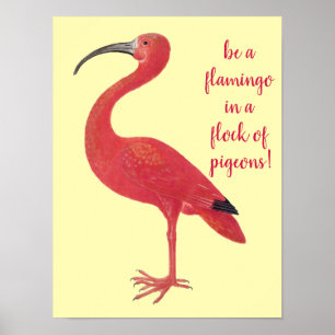 Affiche Soyez un Flamant rose - Amusant, Citation inspiran