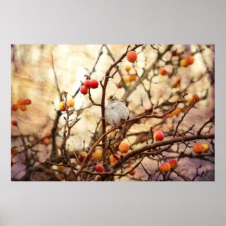 Affiche Sparrow in a Crab Apple Tree