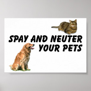 Affiche Spay et Neuter