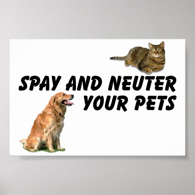 Affiche Spay et Neuter (Devant)
