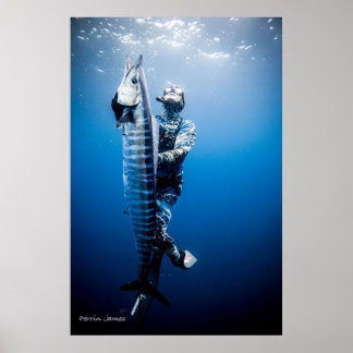 Affiche Spearfishing wahoo