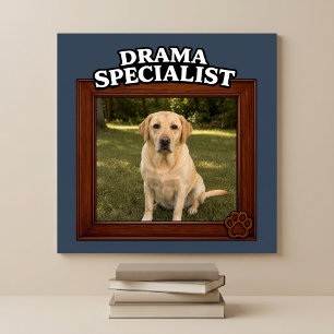 Affiche Spécialiste du Drame Photo de Chien Drôle Personna