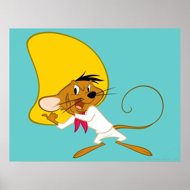 Affiche SPEEDY GONZALES™ en couleur (Devant)