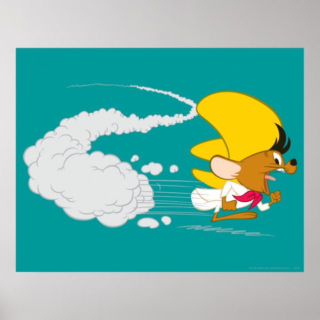 Affiche SPEEDY GONZALES™ en couleur (Devant)