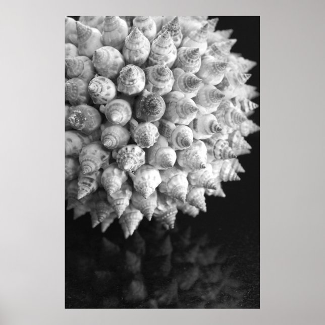 Affiche Sphère Shell (Devant)