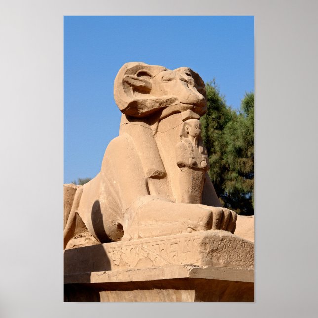 Affiche Sphinx à tête de bélier dans le temple de Karnak - (Devant)