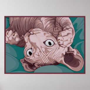 Affiche Sphinx espiègle