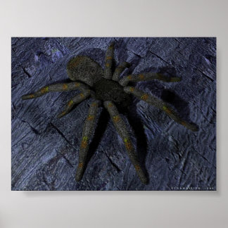 Affiche Spider