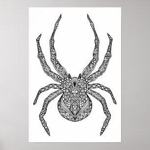 Affiche Spider Doodle 2