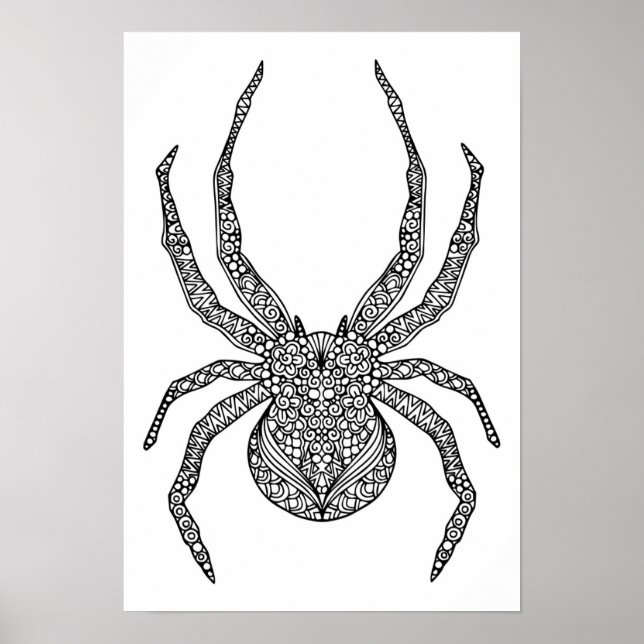 Affiche Spider Doodle 2 (Devant)