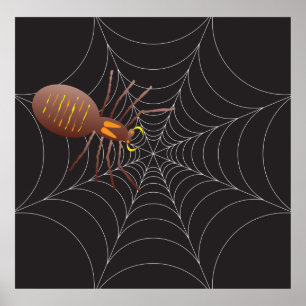 Affiche Spider Et Spider Web