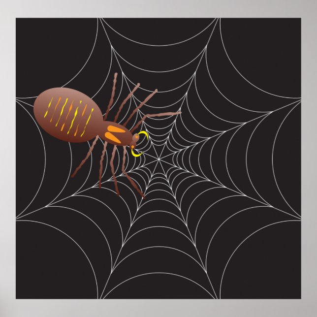 Affiche Spider Et Spider Web (Devant)