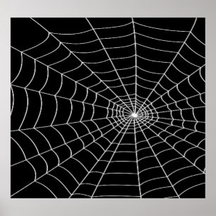 Affiche Spider Web