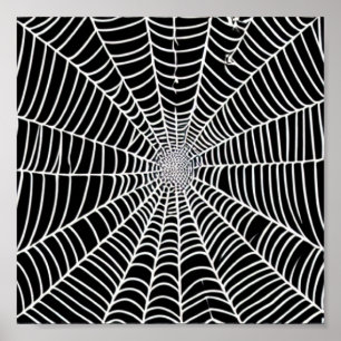 Affiche Spider Web